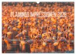 Flamingo Impressionen 2026 (Wandkalender 2026 DIN A3 quer), CALVENDO Monatskalender