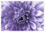 Lila Blüten (Wandkalender 2026 DIN A4 quer), CALVENDO Monatskalender
