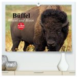 Büffel. Wisent und Bison (hochwertiger Premium Wandkalender 2026 DIN A2 quer), Kunstdruck in Hochglanz
