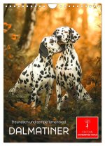 Dalmatiner - freundlich und temperamentvoll (Wandkalender 2026 DIN A4 hoch), CALVENDO Monatskalender