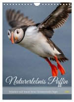 Naturerlebnis Puffin (Wandkalender 2026 DIN A4 hoch), CALVENDO Monatskalender
