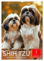 Shih Tzu - immer im Mittelpunkt (Wandkalender 2026 DIN A2 hoch), CALVENDO Monatskalender