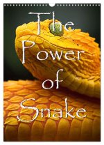 The Power Of Snake (Wandkalender 2026 DIN A3 hoch), CALVENDO Monatskalender