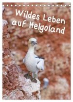 Wildes Leben auf Helgoland (Tischkalender 2026 DIN A5 hoch), CALVENDO Monatskalender