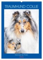 Traumhund Collie - Glück auf vier Pfoten (Wandkalender 2026 DIN A2 hoch), CALVENDO Monatskalender