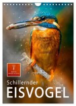 Schillernder Eisvogel (Wandkalender 2026 DIN A4 hoch), CALVENDO Monatskalender