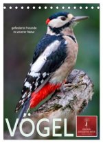 Vögel - gefiederte Freunde in unserer Natur (Tischkalender 2026 DIN A5 hoch), CALVENDO Monatskalender