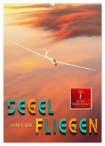 Segelfliegen - einfach Spaß (Wandkalender 2026 DIN A2 hoch), CALVENDO Monatskalender