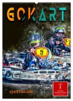 Gokart spektakulär (Wandkalender 2026 DIN A2 hoch), CALVENDO Monatskalender