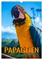 Papageien - exotische Schönheiten (Wandkalender 2026 DIN A3 hoch), CALVENDO Monatskalender