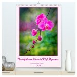Nachtfalterorchideen in High Dynamic (hochwertiger Premium Wandkalender 2026 DIN A2 hoch), Kunstdruck in Hochglanz