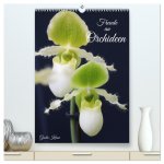 Freude an Orchideen (hochwertiger Premium Wandkalender 2026 DIN A2 hoch), Kunstdruck in Hochglanz