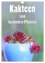 Kakteen sind besondere Pflanzen (Wandkalender 2026 DIN A4 hoch), CALVENDO Monatskalender