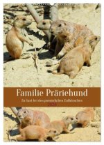 Familie Präriehund (Wandkalender 2026 DIN A2 hoch), CALVENDO Monatskalender
