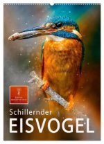 Schillernder Eisvogel (Wandkalender 2026 DIN A2 hoch), CALVENDO Monatskalender