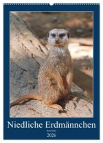 Niedliche Erdmännchen (Wandkalender 2026 DIN A2 hoch), CALVENDO Monatskalender