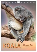 Koala, kleiner Bär (Wandkalender 2026 DIN A4 hoch), CALVENDO Monatskalender