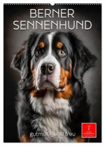 Berner Sennenhund - gutmütig und treu (Wandkalender 2026 DIN A2 hoch), CALVENDO Monatskalender