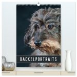 Dackelportraits (hochwertiger Premium Wandkalender 2026 DIN A2 hoch), Kunstdruck in Hochglanz