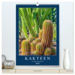 Kakteen - Stacheliges aus Südamerika (hochwertiger Premium Wandkalender 2026 DIN A2 hoch), Kunstdruck in Hochglanz