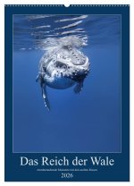 Im Reich der Wale (Wandkalender 2026 DIN A2 hoch), CALVENDO Monatskalender