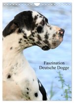 Faszination Deutsche Dogge (Wandkalender 2026 DIN A4 hoch), CALVENDO Monatskalender