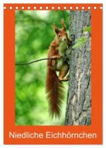Niedliche Eichhörnchen (Tischkalender 2026 DIN A5 hoch), CALVENDO Monatskalender