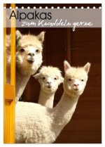 Alpakas zum Knuddeln gerne (Tischkalender 2026 DIN A5 hoch), CALVENDO Monatskalender