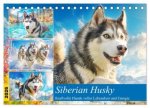 Siberian Husky. Kraftvolle Hunde voller Lebenslust und Energie (Tischkalender 2026 DIN A5 quer), CALVENDO Monatskalender