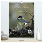 Amsel, Drossel, Fink und Star - beobachtet (hochwertiger Premium Wandkalender 2026 DIN A2 hoch), Kunstdruck in Hochglanz