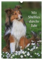 Mit Shelties durchs Jahr (Wandkalender 2026 DIN A3 hoch), CALVENDO Monatskalender