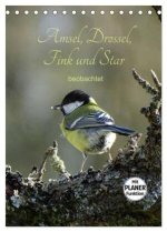 Amsel, Drossel, Fink und Star - beobachtet (Tischkalender 2026 DIN A5 hoch), CALVENDO Monatskalender