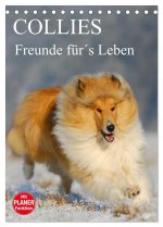 Collies - Freunde für's Leben (Tischkalender 2026 DIN A5 hoch), CALVENDO Monatskalender