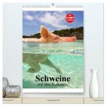 Schweine auf den Bahamas! (hochwertiger Premium Wandkalender 2026 DIN A2 hoch), Kunstdruck in Hochglanz