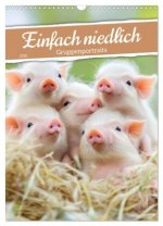 Einfach niedlich - Gruppenportraits (Wandkalender 2026 DIN A3 hoch), CALVENDO Monatskalender