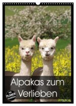 Alpakas zum Verlieben (Wandkalender 2026 DIN A3 hoch), CALVENDO Monatskalender