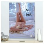 Nur Erotik... (hochwertiger Premium Wandkalender 2026 DIN A2 hoch), Kunstdruck in Hochglanz