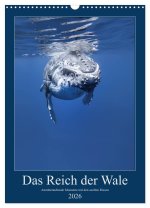 Im Reich der Wale (Wandkalender 2026 DIN A3 hoch), CALVENDO Monatskalender