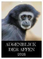 Augenblick der Affen 2026 (Wandkalender 2026 DIN A2 hoch), CALVENDO Monatskalender