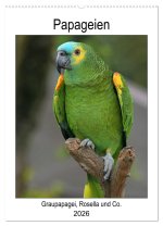 Papageien - Graupapagei, Rosella und Co. (Wandkalender 2026 DIN A2 hoch), CALVENDO Monatskalender