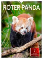 Roter Panda (Wandkalender 2026 DIN A3 hoch), CALVENDO Monatskalender