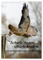 Scharfe Krallen, scharfe Augen, Greifvögel und Eulen im Wildpark (Wandkalender 2026 DIN A4 hoch), CALVENDO Monatskalender