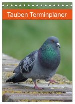 Tauben Terminplaner (Tischkalender 2026 DIN A5 hoch), CALVENDO Monatskalender