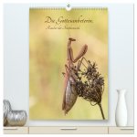 Die Gottesanbeterin. Räuber der Insektenwelt. (hochwertiger Premium Wandkalender 2026 DIN A2 hoch), Kunstdruck in Hochglanz