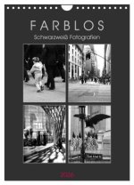F A R B L O S - Schwarzweiß Fotografien (Wandkalender 2026 DIN A4 hoch), CALVENDO Monatskalender