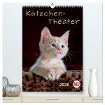 Kätzchen - Theater (hochwertiger Premium Wandkalender 2026 DIN A2 hoch), Kunstdruck in Hochglanz