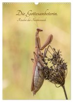 Die Gottesanbeterin. Räuber der Insektenwelt. (Wandkalender 2026 DIN A3 hoch), CALVENDO Monatskalender