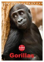 Gorillas (Tischkalender 2026 DIN A5 hoch), CALVENDO Monatskalender