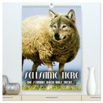 Seltsame Tiere - da stimmt doch was nicht... (hochwertiger Premium Wandkalender 2026 DIN A2 hoch), Kunstdruck in Hochglanz