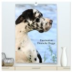 Faszination Deutsche Dogge (hochwertiger Premium Wandkalender 2026 DIN A2 hoch), Kunstdruck in Hochglanz